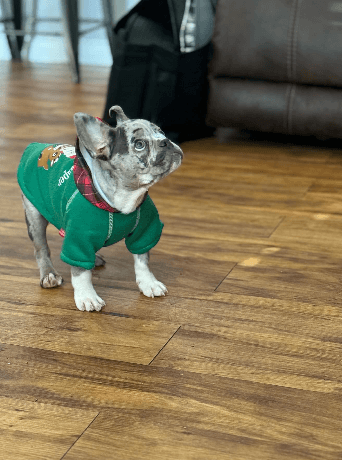 Shop mascot in fit — @TheClipperConnect713